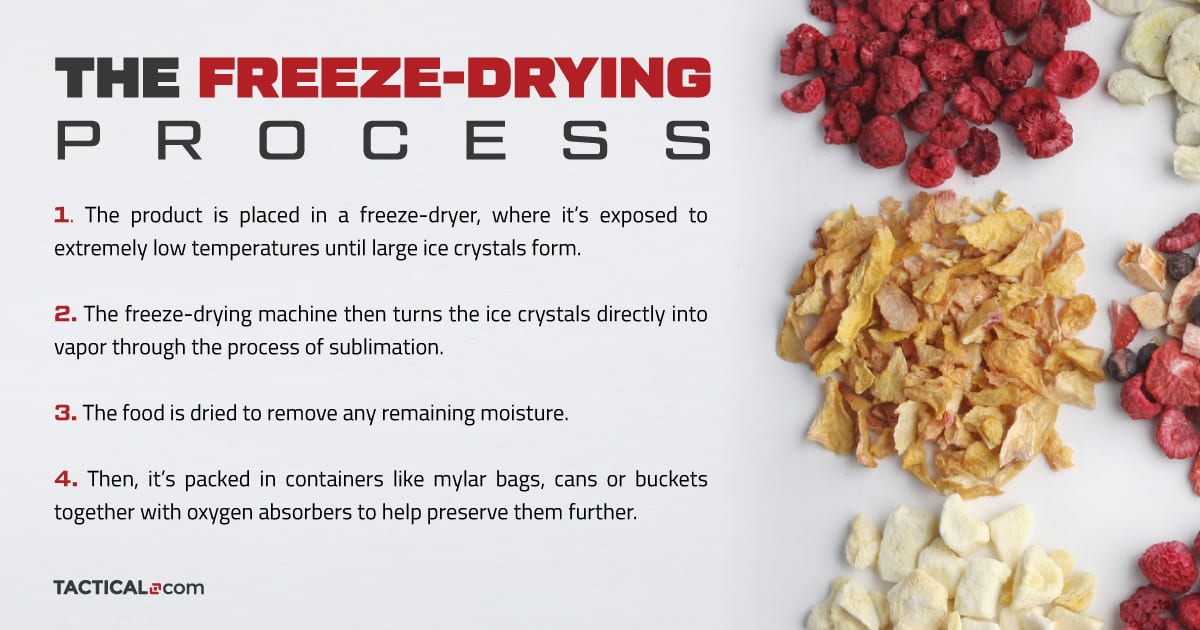 What Are The Best FreezeDried Foods For Hiking, Camping, and