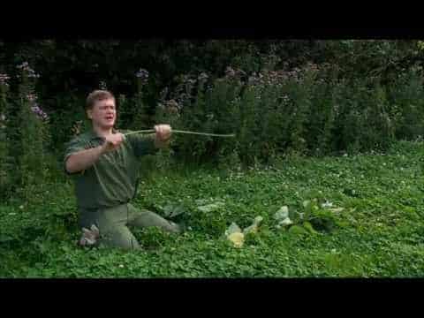 Wilderness Survival: How to Make Rope Out of Plants